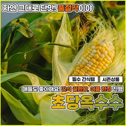 초당옥수수 (14cm이상) 특 5개입 대표이미지 2번째